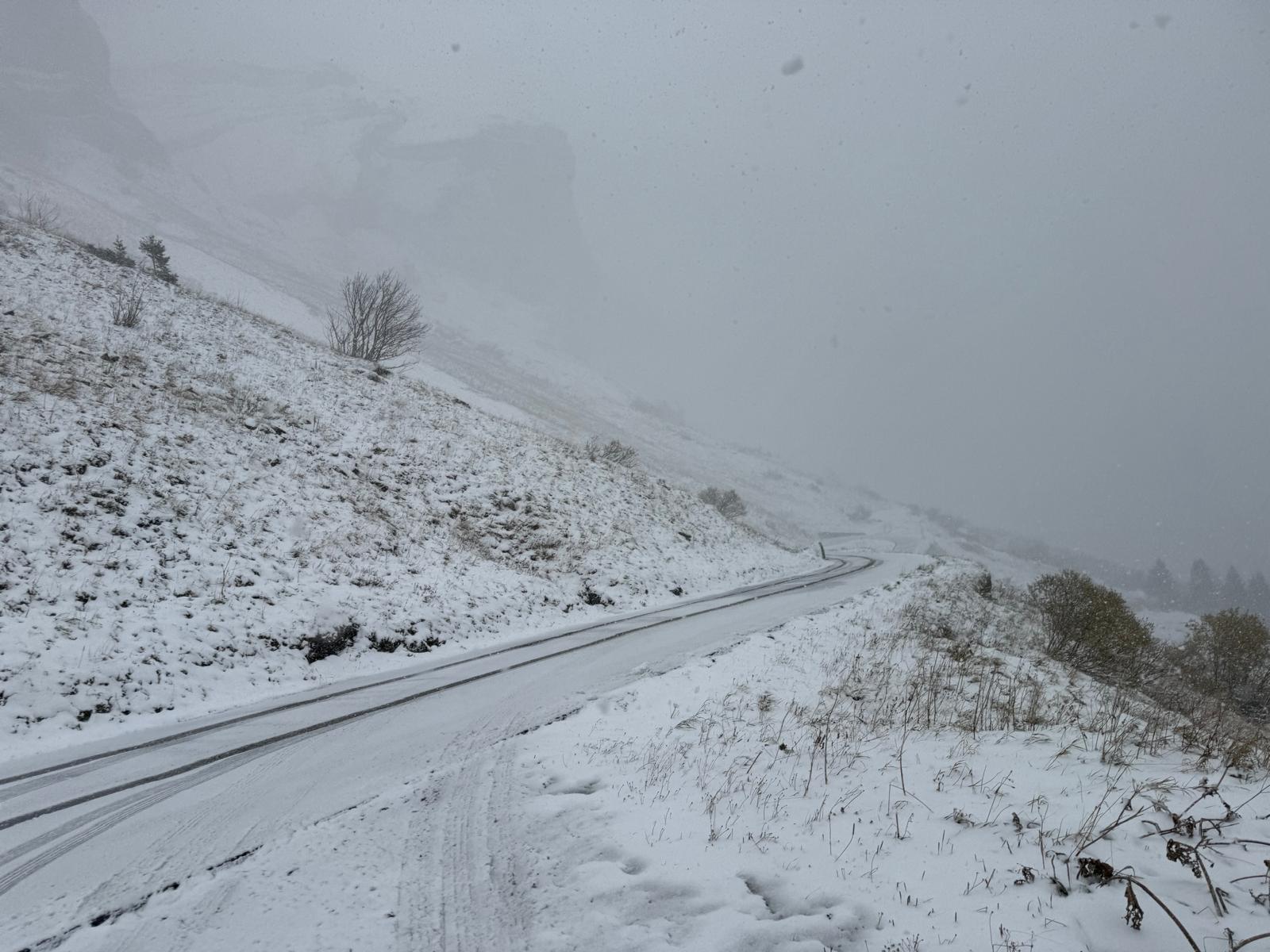 schnee100