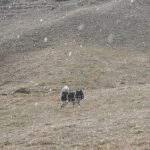 Achtung Winterfans: Heute nass & wild – ab Donnerstag strömt die Kälte und bringt Neuschnee!