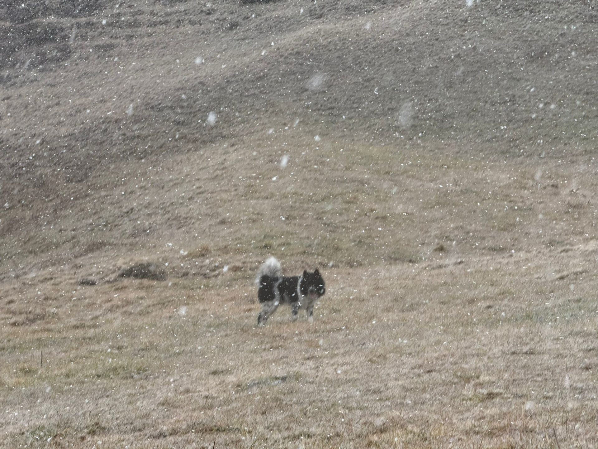 WhatsApp Image 2025-11-17 at 13.41.14