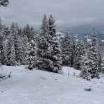 Winter legt nach: Neuschnee bis 500 m – Modelle zeigen weiteren Schneeschub bis Anfang Dezember