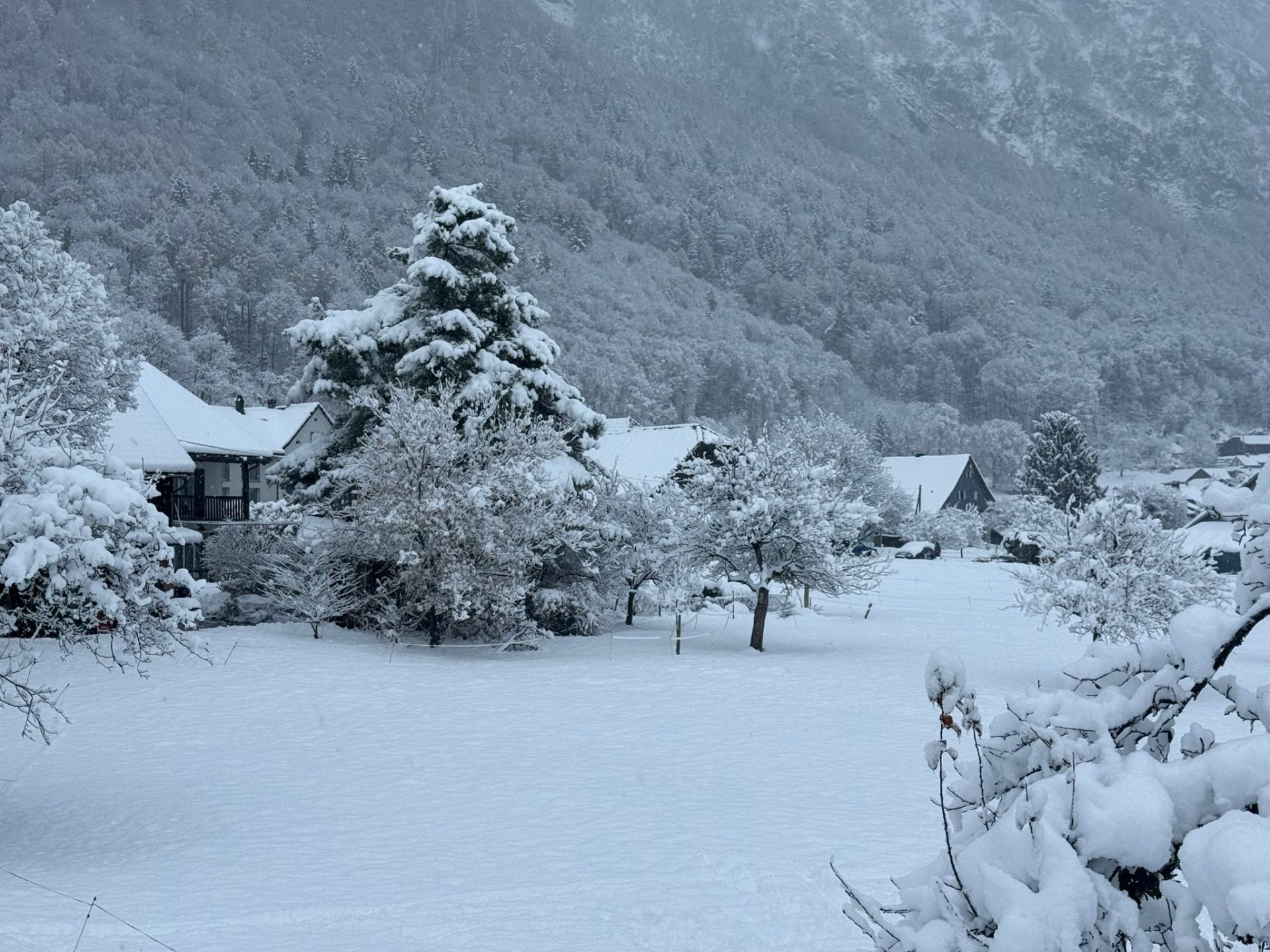 Heiligkreuz: Wiese mit Schnee.