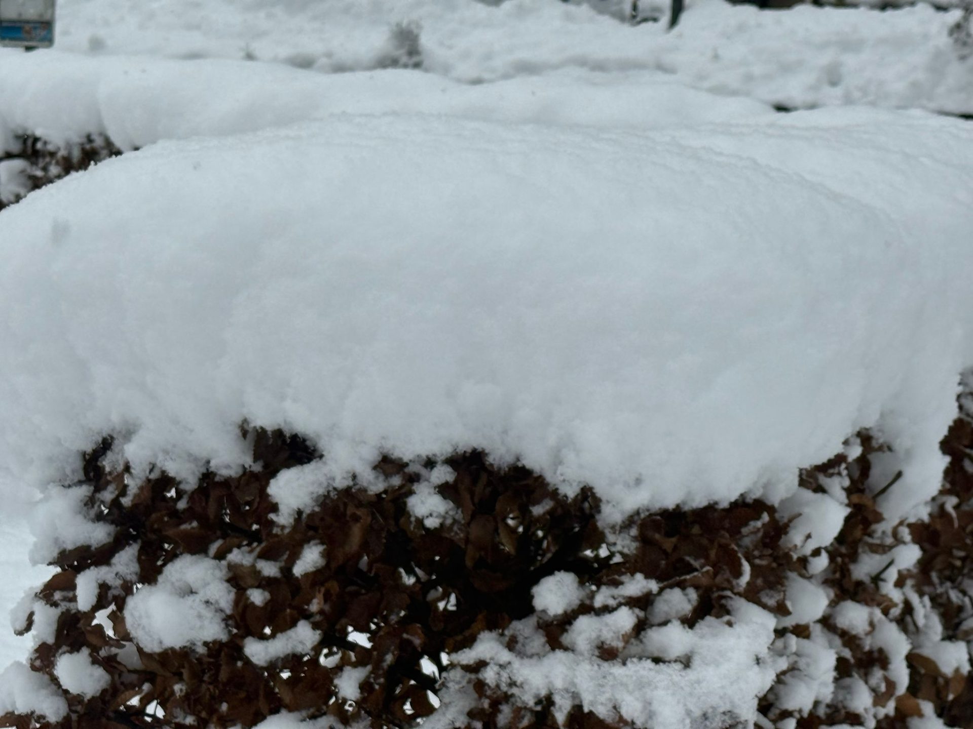 Heiligkreuz: Hang mit Schnee.