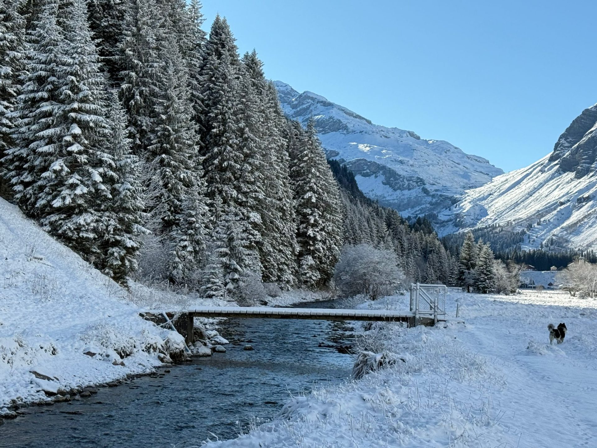 urnerboden 18.11.2025